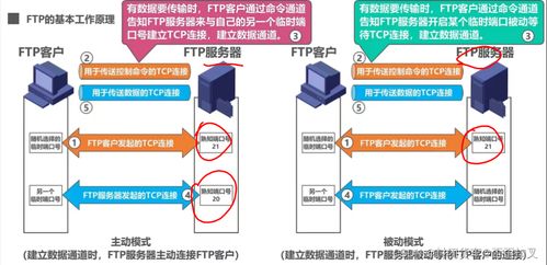 計算機網絡期末復習筆記 應用層與網絡技術開發